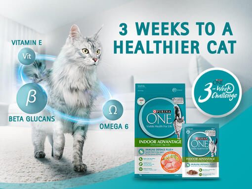 Discover the Purina ONE Range
